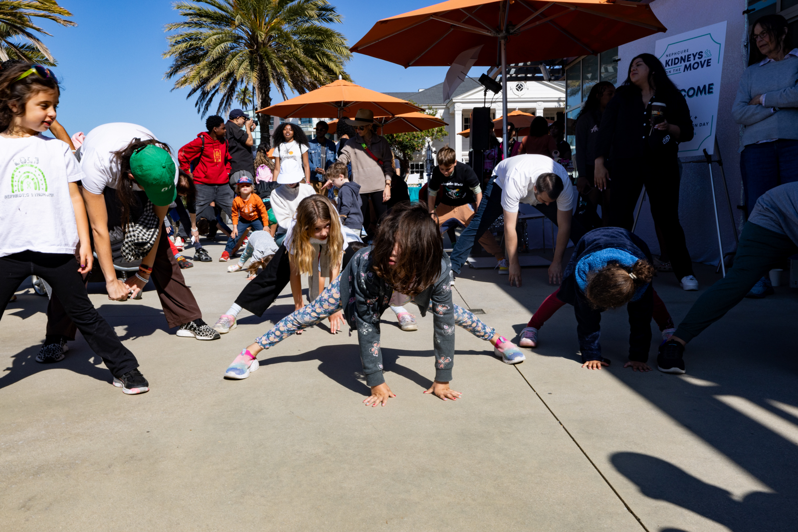 LA Walk for a cure nephcure