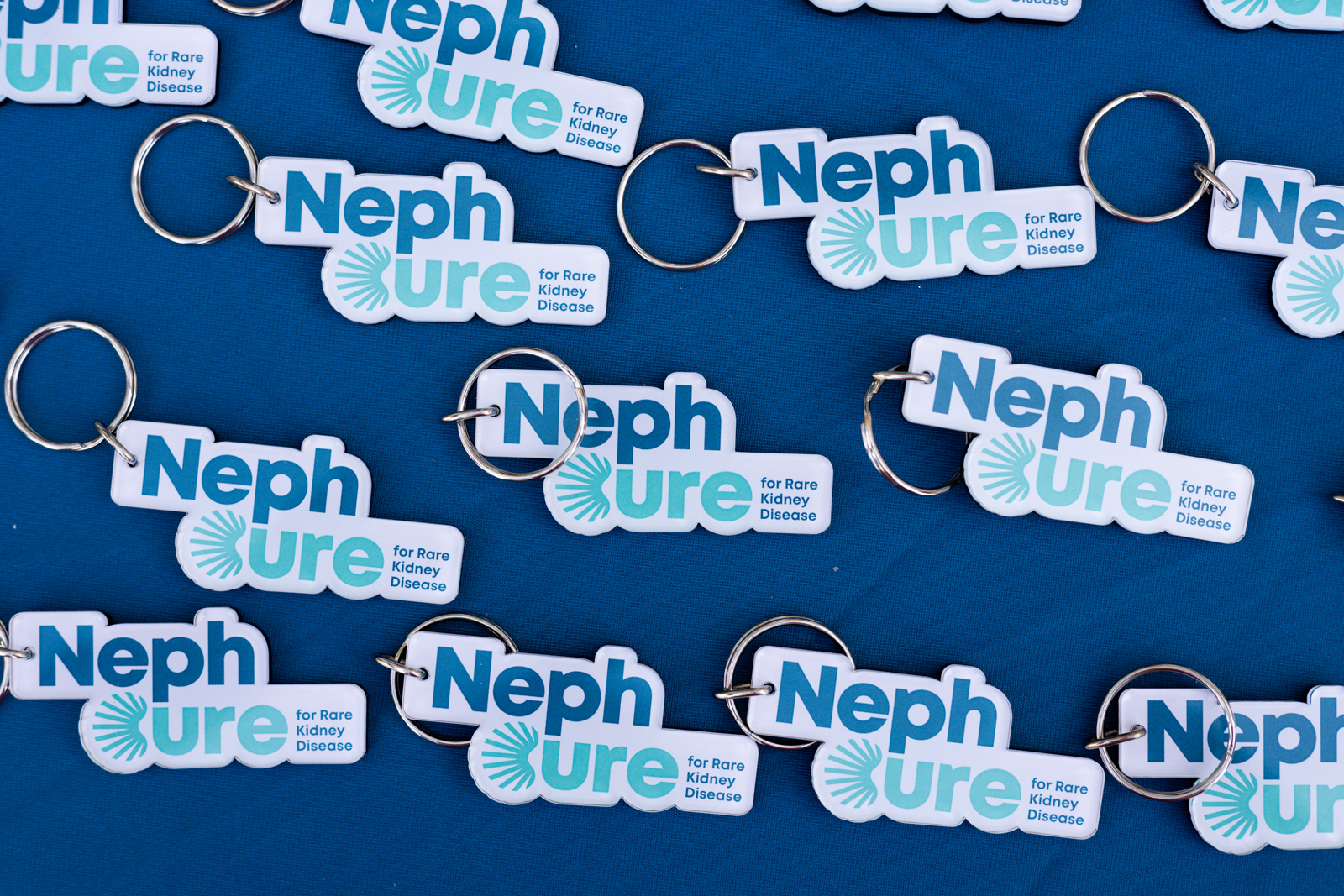 NephCure Kidney Foundation Swag and Keychain