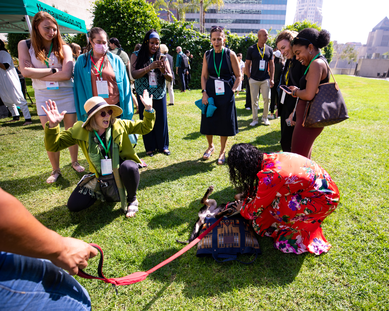 dog photographer los angeles