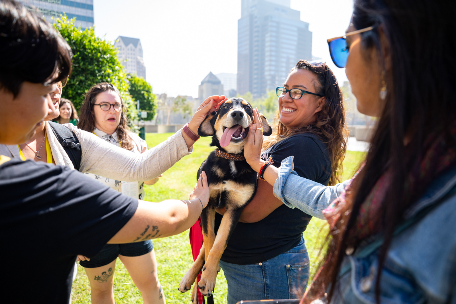 dog shelter event photographer los angeles